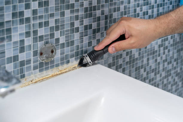 Best Mold Remediation  in Rio Dell, CA
