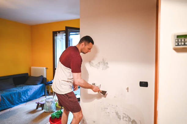 Best Mold Cleaning Services  in Rio Dell, CA