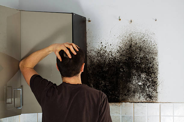 Best Office Mold Removal Services  in Rio Dell, CA